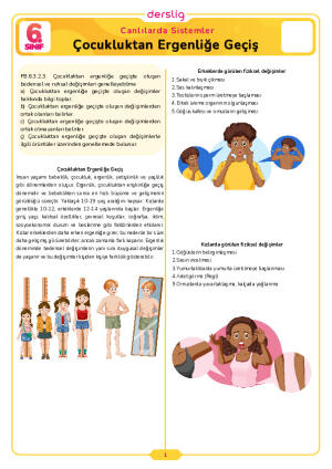 6.Sınıf 3.Tema 8.Konu (Çocukluktan Ergenliğe Geçiş) Çalışma Kağıdı Cevap Anahtarı