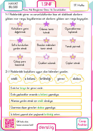 1. sınıf 17. hafta cevap anahtarı
