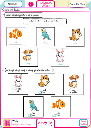 Derslig-Pets in the house Çalışma Kağıdı Cevap Anahtarı