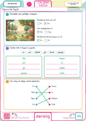 3. Sınıf Yaşam Alanlarındaki Çeşitlilik (Biyoçeşitlilik) Cevap Anahtarı