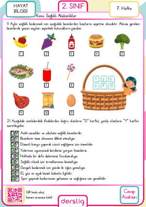 2. Sınıf 7. Hafta Cevap Anahtarı