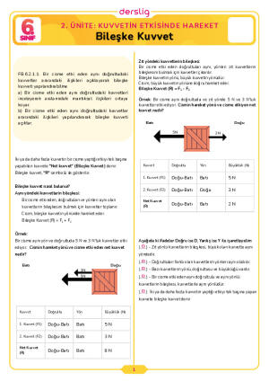 6.Sınıf 2.Tema 2.Konu (Bileşke Kuvvet) Çalışma Kağıdı Cevap Anahtarı