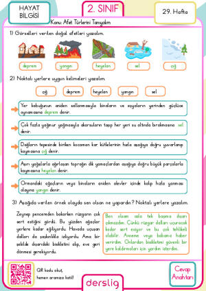 2. Sınıf 29. Hafta Cevap Anahtarı