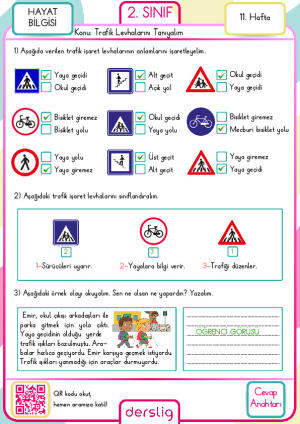2. Sınıf 11. Hafta Cevap Anahtarı