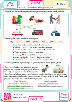 2. Sınıf 12. Hafta Cevap Anahtarı