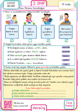 2. Sınıf 17. Hafta Cevap Anahtarı