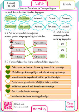 1. Sınıf 11. Hafta Cevap Anahtarı