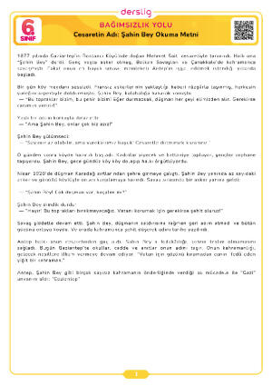 6. Sınıf 2.Tema Cesaretin Adı: Şahin Bey Okuma Metni