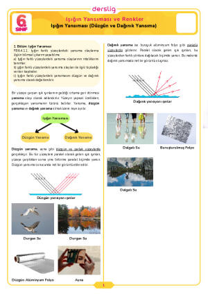 6.Sınıf 4.Tema 1.Konu (Işığın Yansıması (Düzgün ve Dağınık Yansıma)) Çalışma Kağıdı Cevap Anahtarı
