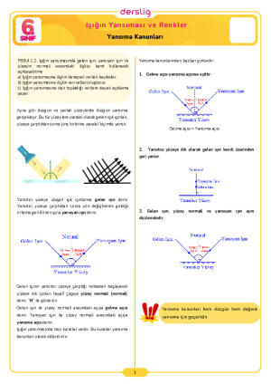 6.Sınıf 4.Tema 2.Konu (Işığın Yansıması (Yansıma Kanunları)) Çalışma Kağıdı Cevap Anahtarı