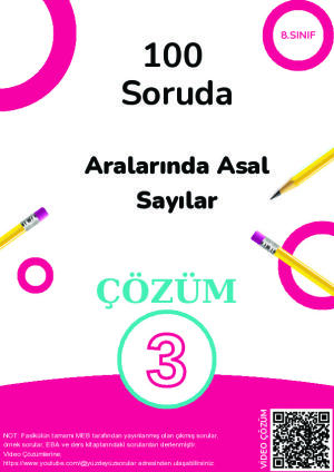 3) 100 Soruda Aralarında Asal Sayılar Çözüm