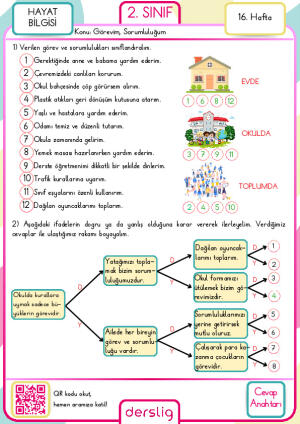 2. Sınıf 16. Hafta Cevap Anahtarı