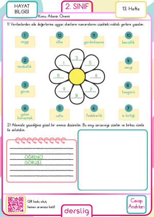 2. Sınıf 13. Hafta Ödevi Cevap Anahtarı