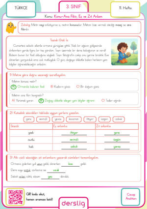 3. Sınıf 11. Hafta Ödevi Cevap Anahtarı
