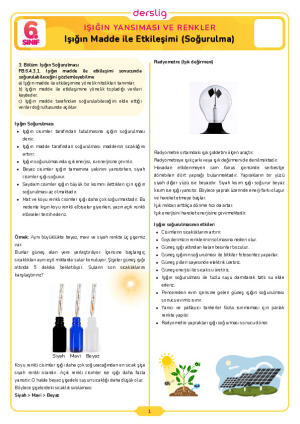 6.Sınıf 4.Tema 4.Konu (Işığın Madde ile Etkileşimi (Soğurulma)) Çalışma Kağıdı Cevap Anahtarı