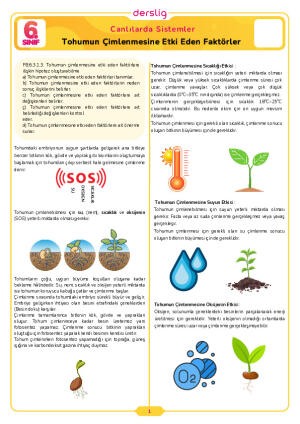 6.Sınıf 3.Tema 3.Konu (Tohumun Çimlenmesine Etki Eden Faktörler) Çalışma Kağıdı Cevap Anahtarı