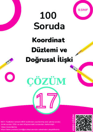 17) 100 Soruda Koordinat Düzlemi ve Doğrusal İlişki Çözüm