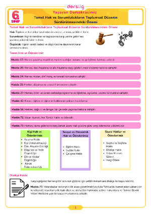 6.Sınıf 4.Tema 2.Konu (Temel Hak ve Sorumlulukların Toplumsal Düzenin) Çalışma Kağıdı Cevap Anahtarı