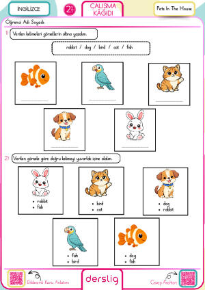 Pets In The House
