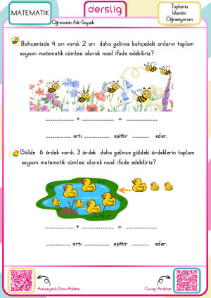 Toplama İşlemini Öğreniyorum