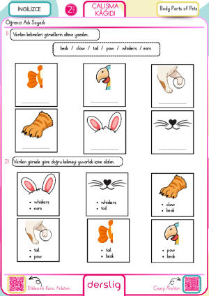 Body Parts of Pets
