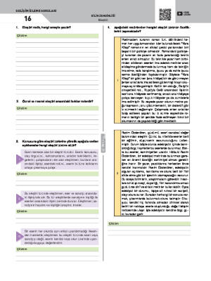 Gelişim İzleme Soruları-16 Eleştiri