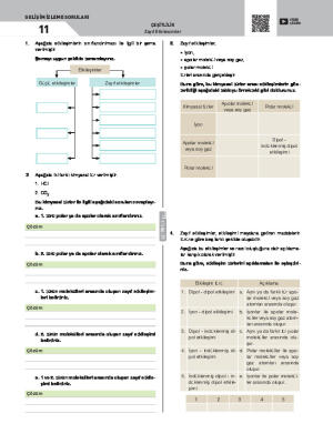 Gelişim İzleme Soruları-11 Zayıf Etkileşimler