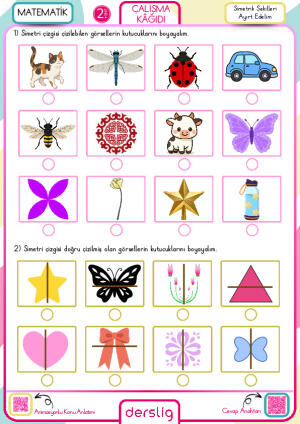 Simetrik Şekilleri Ayırt Edelim