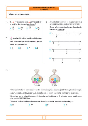 Kesirler Taraması