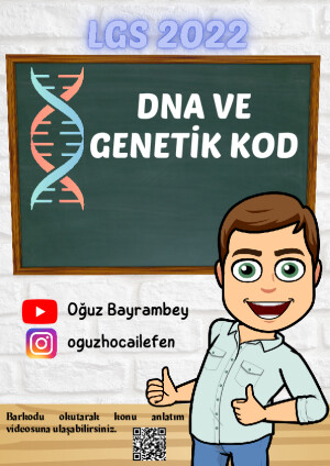 DNA ve Genetik Kod LGS 2022