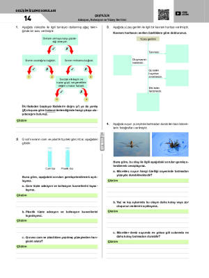 Gelişim İzleme Soruları-14 Adezyon, Kohezyon ve Yüzey Gerilimi