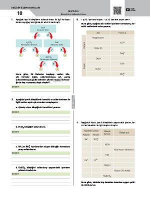 Gelişim İzleme Soruları-10 Bileşiklerin Adlandırılması