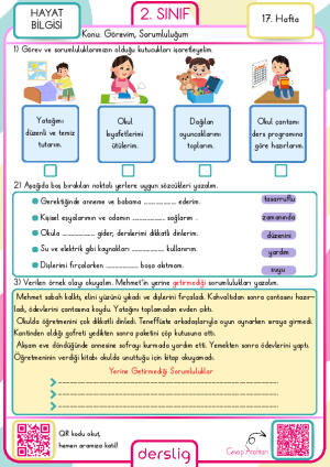 2. Sınıf 17. Hafta Ödevi
