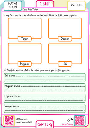 1. Sınıf 29. Hafta Ödevi