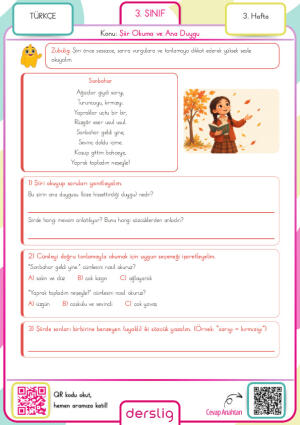 3. Sınıf 3. Hafta Ödevi
