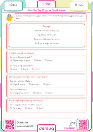 3. Sınıf 8. Hafta Ödevi