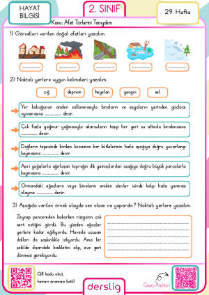 2. Sınıf 29. Hafta Ödevi