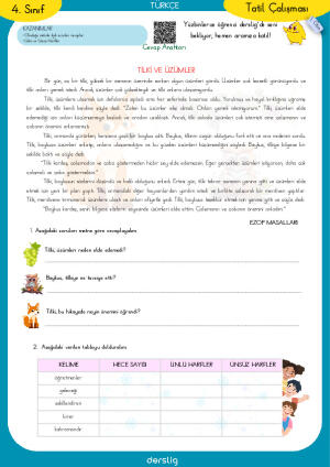 4. Sınıf Yarıyıl Tatil Ödevi