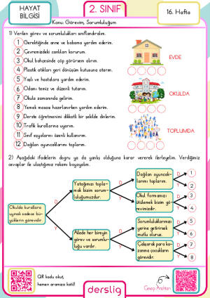 2. Sınıf 16. Hafta Ödevi