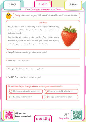 3. Sınıf 5. Hafta Ödevi