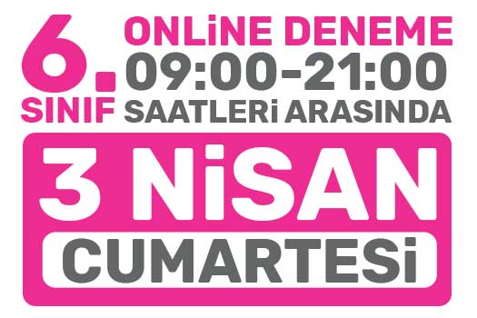 Türkiye Geneli Online Deneme 6. Sınıflar