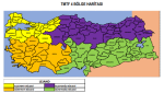 Yeliz Yılmaz Şen