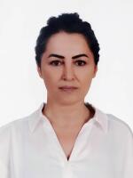 Yildiz Kara
