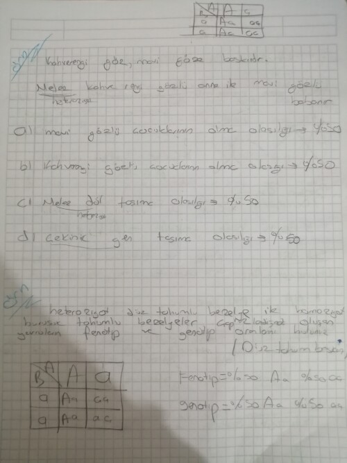 Doğru yapmışmıyım yarın hoca bakıcakkkk
