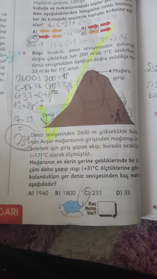 Cevap Resmi