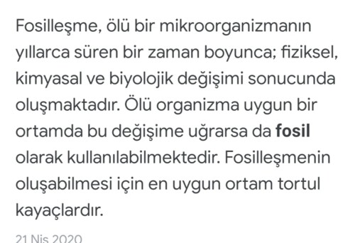 Cevap Resmi