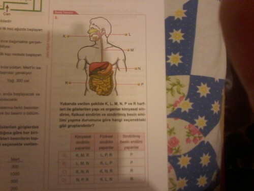 Yapabilir misiniz?

Bu sefer gerçekten yıldız var😂