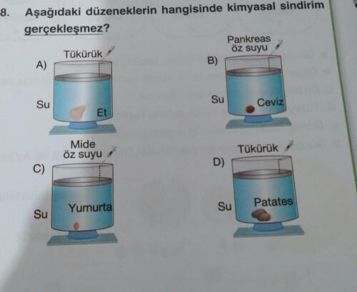 Arkadaşlar böyle sorular nasıl yapılıyor? Cevaplar mısınız? Acill