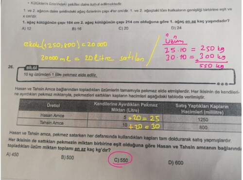 Cevap Resmi