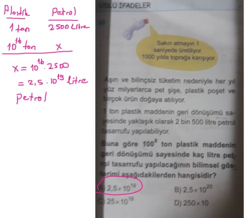 Cevap Resmi